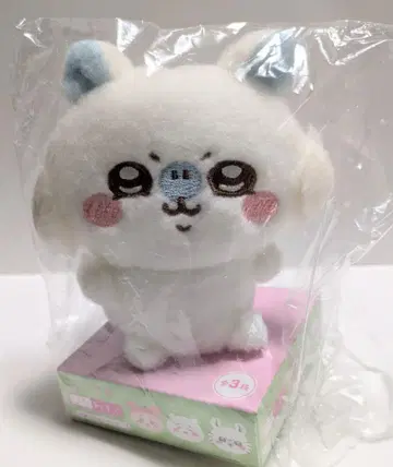 피타레스트 치이카와 (먼작귀) 모몽가