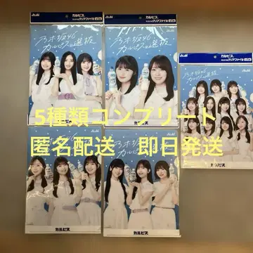 아사히 노기자카46 칼피스 B5 클리어 파일 전 5종 컴플리트