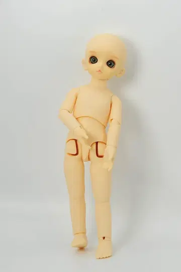슈퍼돌피 렌카마루 본체만 아이 포함 보크스 유년 SD 플레이트 미포함
