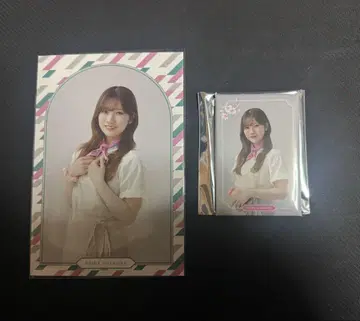 사쿠라자카46 오다쿠라 레이나 사쿠라자카 카페 2025 랜덤 마그넷 엽서