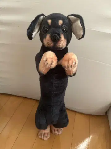 봉제 인형 서 있는 개