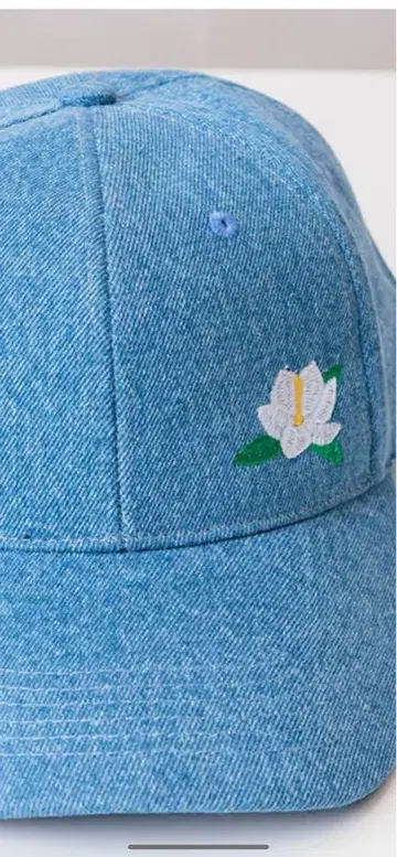 멜로디 레인 데님 캡