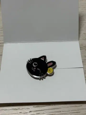 RIIZE 아레나 투어 굿즈 랜덤 커스텀 참 원빈