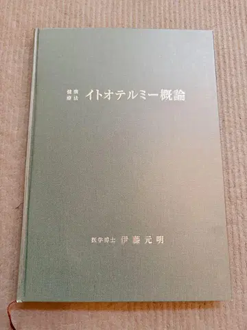 이토텔미 개론 이토 모토아키
