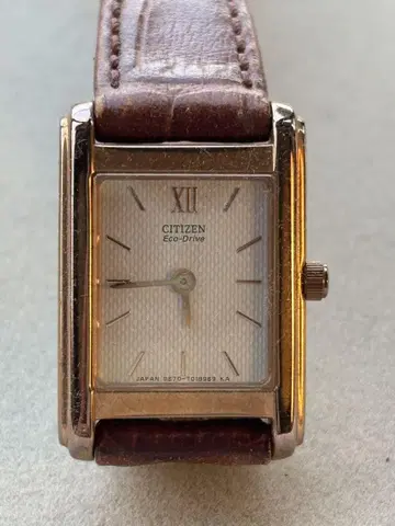 CITIZEN Eco-Drive 골드 브라운