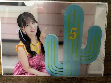 나나니지 카페 22/7 나나분노니주니 클리어 파일 마오 마오