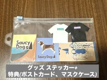 SaucyDog 굿즈 스티커 + 혜택 세트