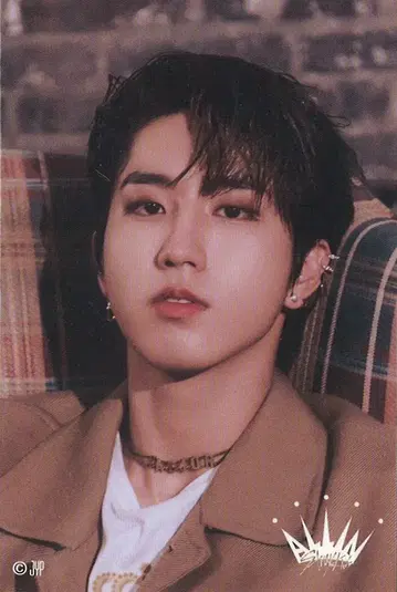 StrayKids ALL IN 온라인 복권 HAN 스티커 E상