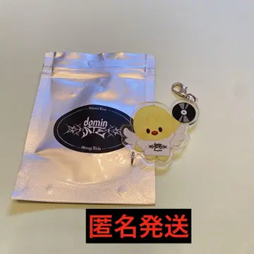 straykids 랜덤 아크릴 키링 필릭스 포가리