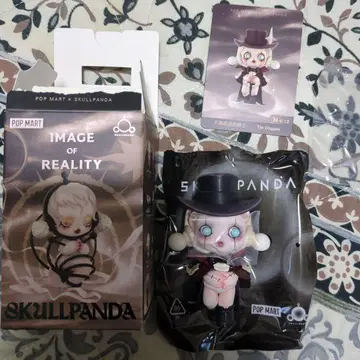 스컬 팬더 IMAGE OF REALITY 팝 마트