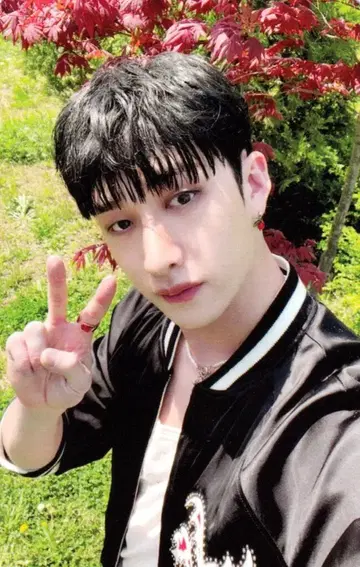 StrayKids MAXIDENT BangChan 트레이딩 카드 핑크