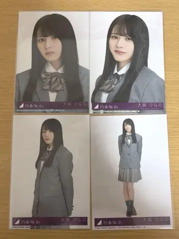 노기자카46 오코시 히나노 브로마이드 네이블 오렌지 봉입 컴프