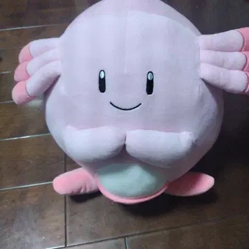 포켓몬 봉제 인형