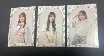 사쿠라자카46 3기생 사쿠라자카 cafe 2025 엽서