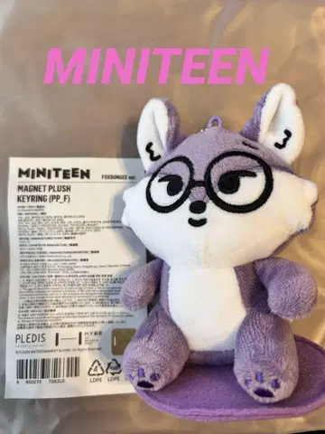 MINITEEN MAGNET PLUSH 키링 원우