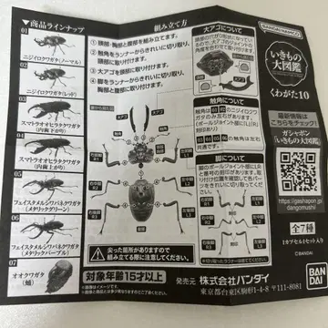 생물대도감 장수풍뎅이 10종 세트