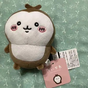 치이카와 (먼작귀) 포테타마 봉제 인형 장수풍뎅이 치이카부