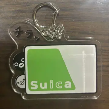 Suica의 펭귄 아크릴 키링 아크링 키링 시크릿