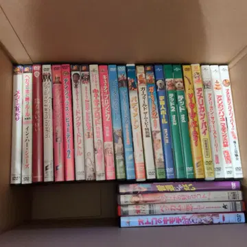 DVD 묶음 판매 서양화