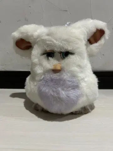 퍼비 2 파랑 눈 블루