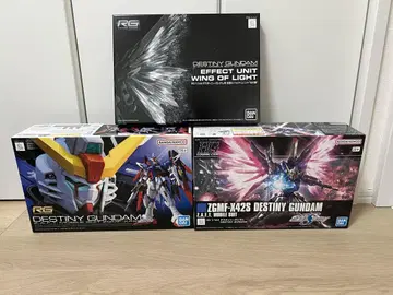 RG.HG 데스티니 건담 빛의 날개 세트