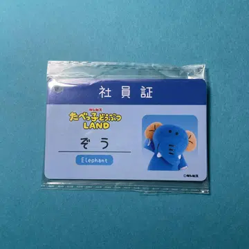 타베코 동물 코끼리 사원증