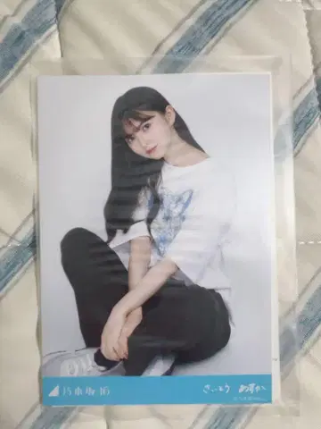 노기자카46 캐주얼 티셔츠 사이토 아스카 졸업 노기사카 컬렉션