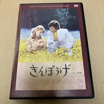 금풍계 단종 DVD 제인 애셔