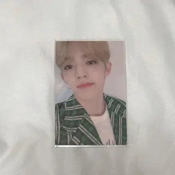 에스크 CARAT ZONE 2019