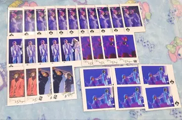 Knight A Knight X 포토 카드 묶음 판매