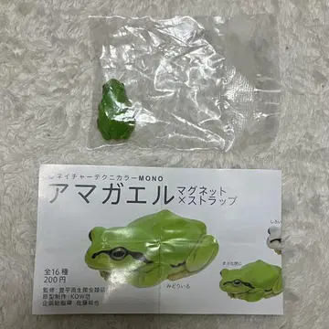 네이처 테크니컬러 청개구리 미도리이로 마그넷