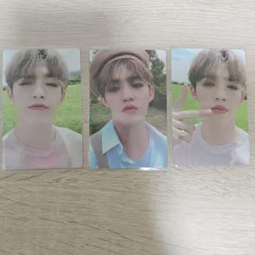 에스크 An Ode 트레이딩 카드