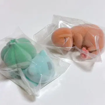 푸시키다네/히토카게 포켓몬 슬립 피규어 컬렉션 와카쿠사 본섬