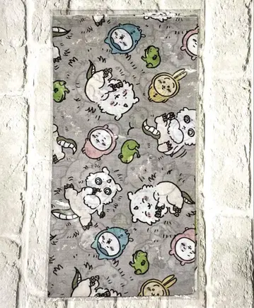 치이카와 반다나 그 일 말이야