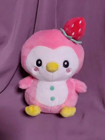 제오 참 봉제 인형 포포