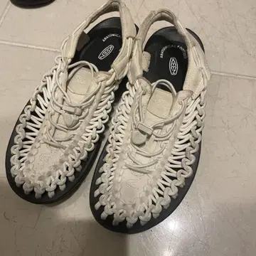 킨 24cm