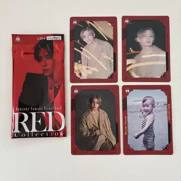 RED 야마다 료스케 비주얼 카드 외부 가방 포함