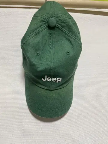 Jeep (지프) 캡 빈티지 그린