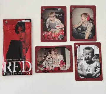 RED 야마다 료스케 비주얼 카드 외부 가방 포함