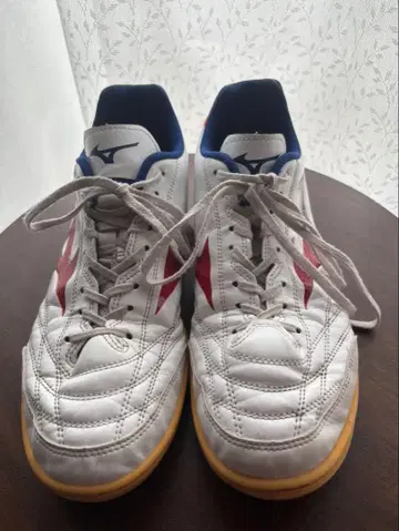 Mizuno Monarcida Neo 풋살화