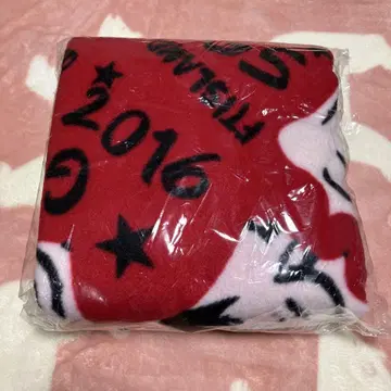 FTISLAND 팬미팅 굿즈 담요