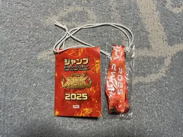 점프 빅토리 카니발 2025 빅토리 여권 점프 페스타