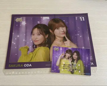 오다 사쿠라 세트