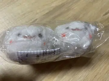 포메라니안 모치 폭신폭신 봉제 인형 가챠 시라타마
