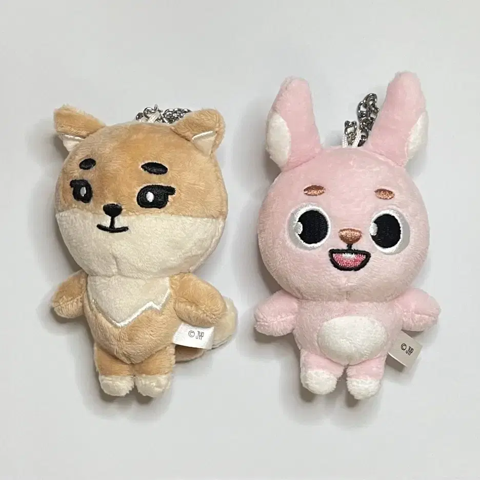 Shop 데이식스백참필 on Bunjang Global Site - No more Korean