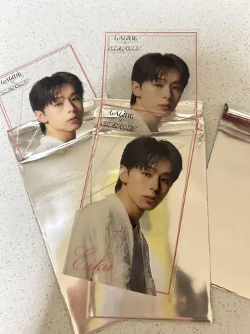 one n' only 원 엔 LALINE 콜라보 트레이딩 카드 EIKU