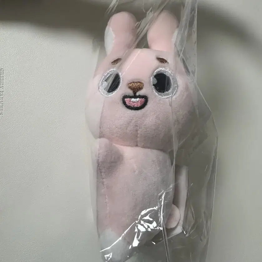 DAY6 ウォンピル ぬいぐるみ PLUSH PIL プー・プ・ムー・フィル ウォンピル(WONPIL) DAY6(デイシックス