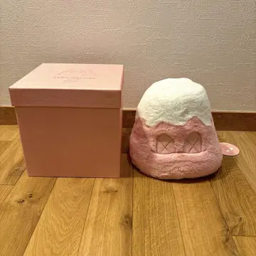 KAWS 카우스 KAWS HOLIDAY JAPAN 후지산 봉제 인형 레어