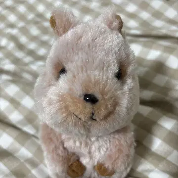 쿠오카 봉제 인형 (왈라비)