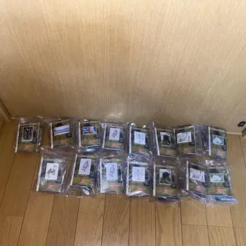 무 확인 동물 2 UMA 15개